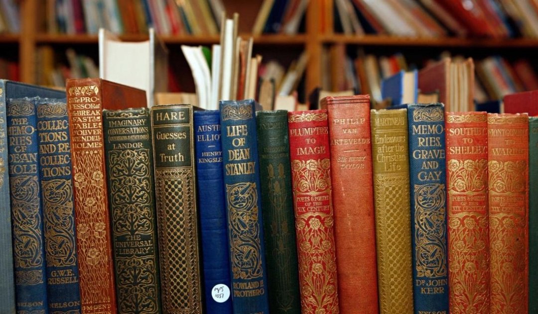 LER FAZ BEM. AS MINHAS SUGESTÕES DE LEITURA